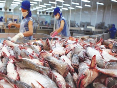 POR15: Anti-dumping duty cut on Vietnamese pangasius going into the US