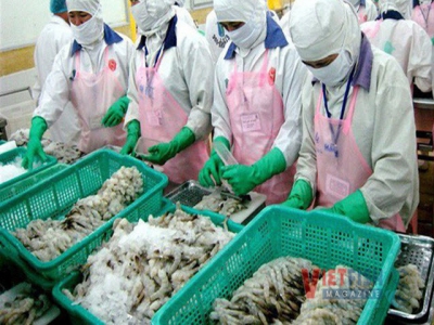 Vietnamese shrimp has opportunities of exports after covid-19 is contained