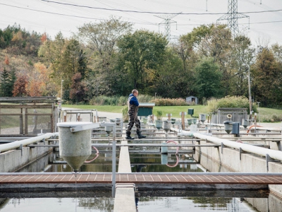 Technology allowing aquaculture to do social distancing