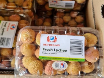 Hai Duong exports fresh lychees to France