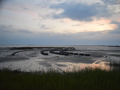 Đột phá về nước thải có thể thúc đẩy sự bùng nổ nuôi trồng thủy sản ở Bắc Carolina