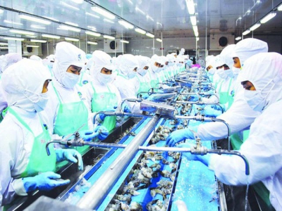 Mekong Delta posts positive results in shrimp exports