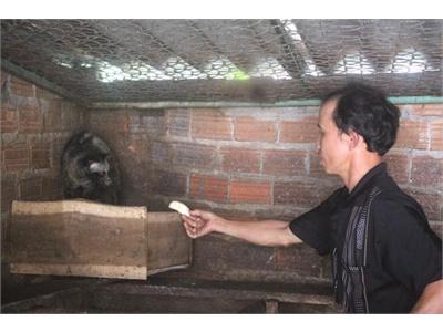 Làm Giàu Nhờ Nuôi Chồn Hương