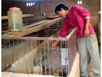 Khi Con Đặc Sản Hết “Sốt”