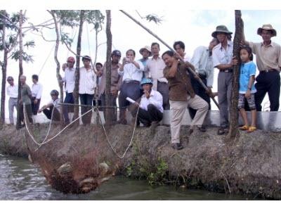 Trái Đắng Trên Vùng Chuyển Dịch