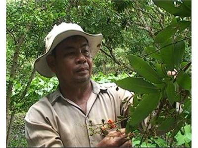 Nhãn Châu Thành Trên Đà Khôi Phục