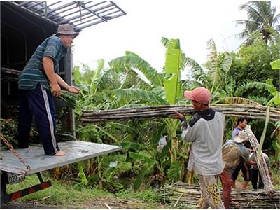 Bán Mía Sớm Để Nhẹ Gánh