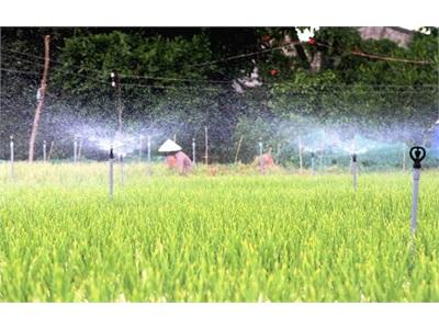 Mục Tiêu 500.000ha Cây Trồng Được Tưới Hiện Đại