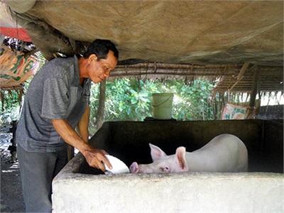 Hỗ Trợ Đồng Bào Khmer Thoát Nghèo