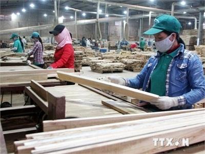 Sản Xuất, Chế Biến Gỗ Xuất Khẩu Ở Quảng Ngãi Khởi Sắc Trở Lại