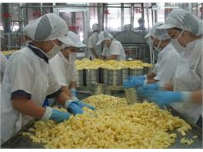 Tăng Cường Ứng Dụng Công Nghệ Sau Thu Hoạch Và Chế Biến Nông Sản