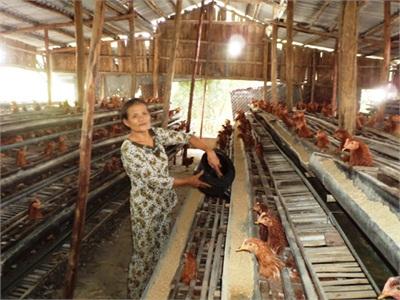 Phong Trào Nông Dân Sản Xuất Kinh Doanh Giỏi Ở Đại Lộc