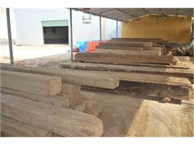 Mua Lâm Sản Trái Phép Bị Phạt 150 Triệu