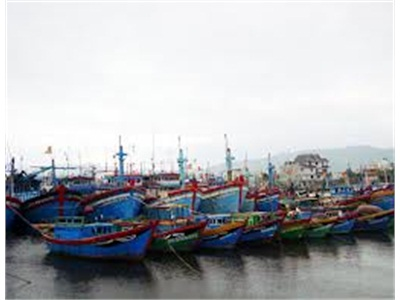 Đề Nghị Phân Bổ Hơn 114 Tỷ Đồng Xây Dựng Khu Neo Đậu Tàu Cá Tại Hội An