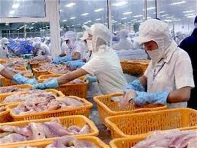 Nỗ Lực Phát Triển Ngành Thủy Sản