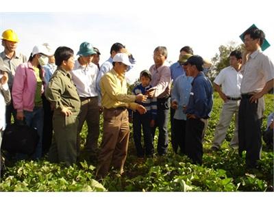 Để Các Đề Tài Khoa Học Thực Sự Tạo Cú Hích Cho Phát Triển