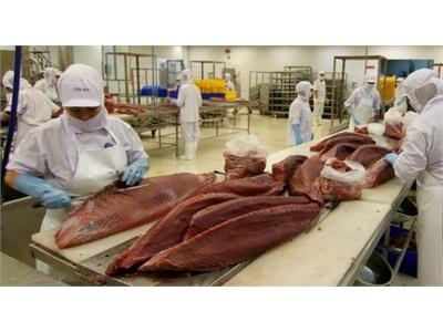 Nga Dỡ Bỏ Lệnh Tạm Đình Chỉ Nhập Khẩu Thủy Sản Của Việt Nam
