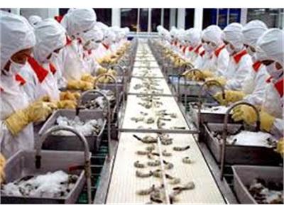 Nga Dỡ Lệnh Đình Chỉ Nhập Khẩu Thủy Sản Việt Nam