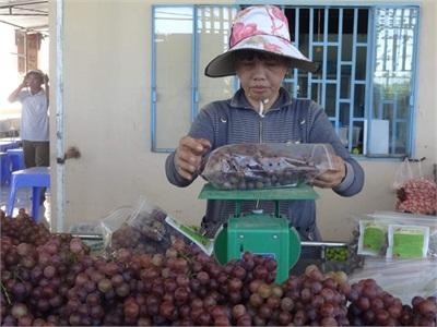 Nho An Toàn Đắt Khách