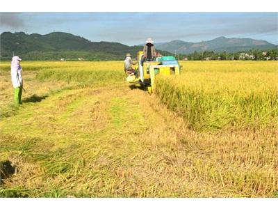 Tam Nông Hỗ Trợ Nông Thôn Mới