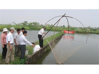 Thiếu Liên Kết Trong Nuôi Trồng Thủy Sản