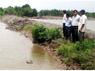 Cà Mau Phát Triển Nuôi Tôm Quảng Canh Cải Tiến Đặc Thù