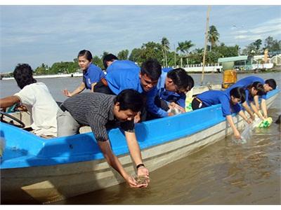 Hậu Giang Thả 3.000 Con Tôm Càng Xanh Xuống Kênh Xáng Xà No