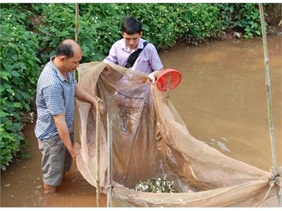 Xóa Đói Giảm Nghèo Ở Ma Thì Hồ