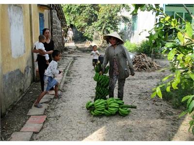 Chuối Giảm Giá