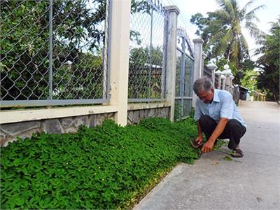 Nông Dân Sản Xuất Giỏi, Xây Dựng Nông Thôn Mới Tích Cực