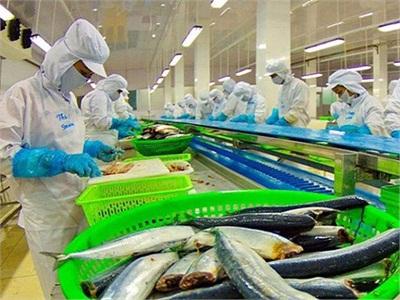 Vướng Rào Cản Kỹ Thuật, Xuất Khẩu Cá Tra Sang Mỹ Và EU Giảm