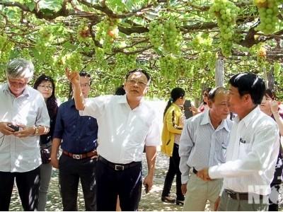 Hội thảo ứng dụng chế phẩm sinh học trên cây nho