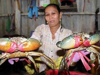 Cua biển Cà Mau rớt giá một nửa