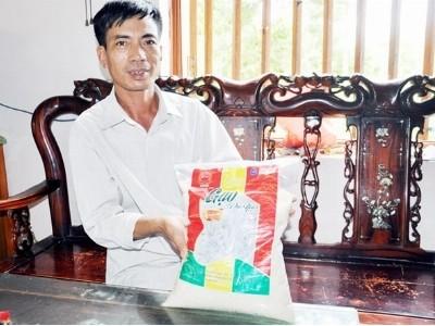 Gạo bao thai Dực Yên cơm bông đều, dẻo, thơm, bùi ngậy