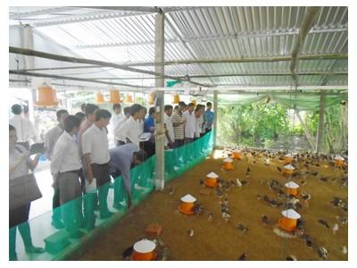 Xuất cấp vắc xin, hóa chất sát trùng cho 8 địa phương