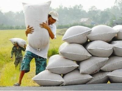 Phấp phỏng với nhập khẩu gạo của Trung Quốc