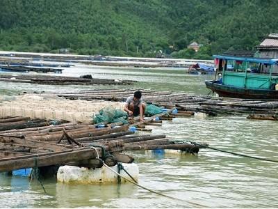 Huyện Vân Đồn (Quảng Ninh) nuôi trồng thuỷ sản thiệt hại nặng do mưa lũ