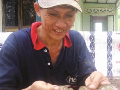 Giải pháp nâng cao hiệu quả tôm nuôi công nghiệp