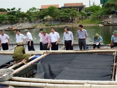 Quảng Ninh (Quảng Bình) chú trọng phát triển đánh bắt và nuôi trồng thủy sản