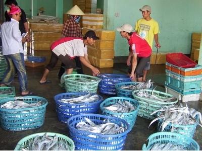 Quảng Bình có sản lượng thủy sản thực hiện 38.578 tấn