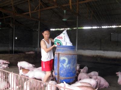 Tín dụng nông nghiệp, nông thôn thúc đẩy phát triển kinh tế hộ ở Thanh Thủy