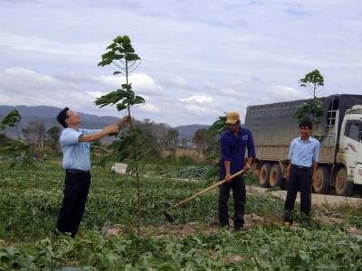 Chuyển 50.000ha rừng nghèo sang trồng cao su xử lý ngay doanh nghiệp vi phạm
