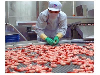 Năm 2015, xuất khẩu tôm sang Nhật Bản sẽ giảm 19%?