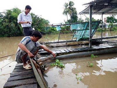 Bảo vệ cá lồng, bè mùa mưa bão