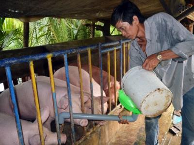 Phao cứu sinh cho hộ dân vùng khó