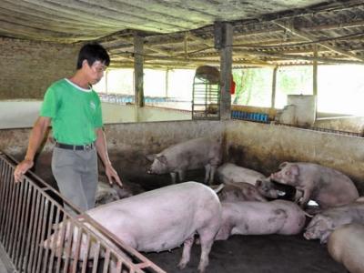 Dự một hội thảo, biết trăm cách làm ăn
