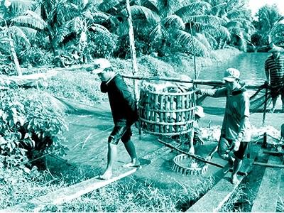 Giá trá tra nguyên liệu giảm xuống mức thấp