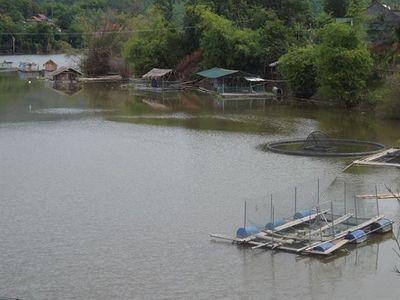 Làm nhà che mưa, che nắng cho cá nuôi lồng bè hay ăn, chóng lớn