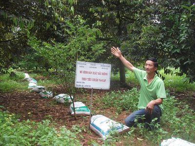 Ngồi rung đùi làm vườn