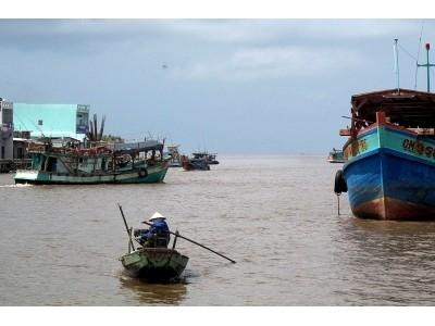 Ngư dân Khánh Hội trúng mùa, được giá